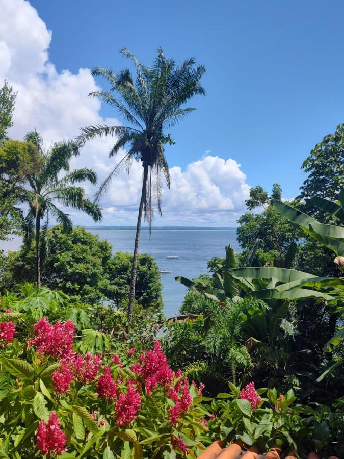 Pousada Residence Vila Das Flores มอร์โฮเจอเซาเปาลู ภายนอก รูปภาพ
