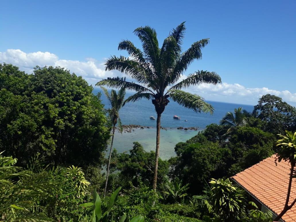 Pousada Residence Vila Das Flores มอร์โฮเจอเซาเปาลู ภายนอก รูปภาพ